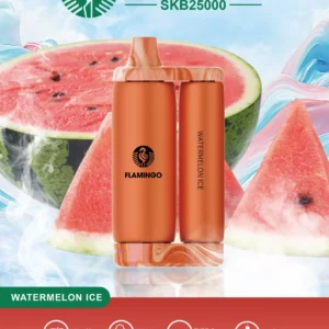 flamingo-watermelon-ice